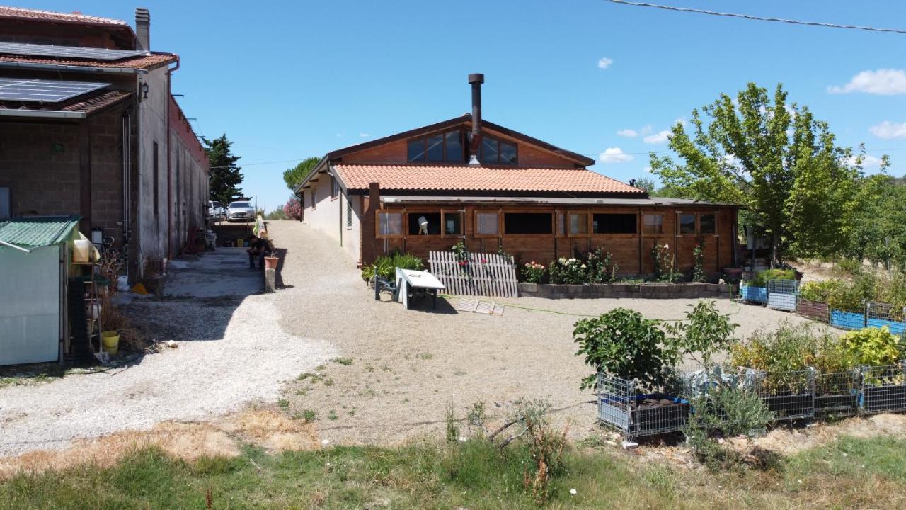 Ferienwohnung Az.Agr.Poggio Regini Castellina in Chianti Exterior foto