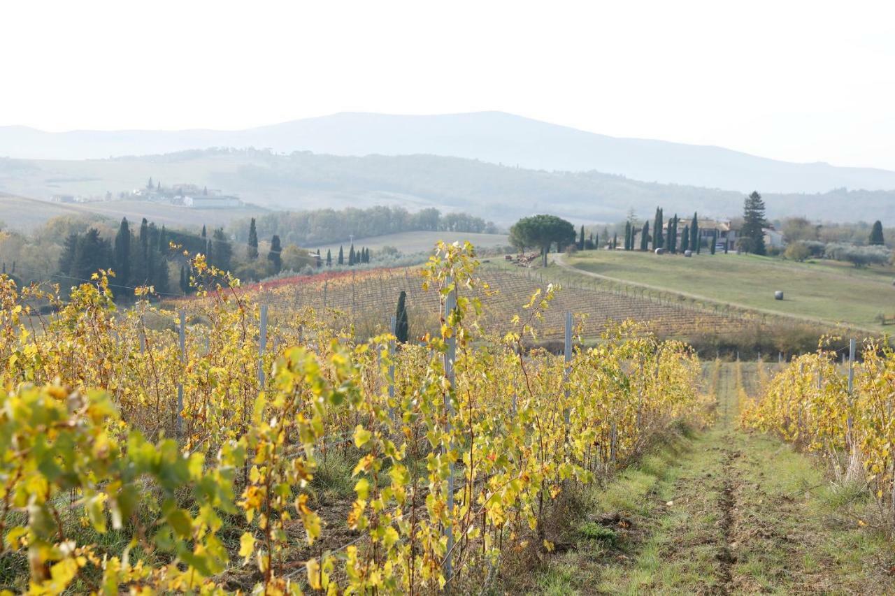 Ferienwohnung Az.Agr.Poggio Regini Castellina in Chianti Exterior foto